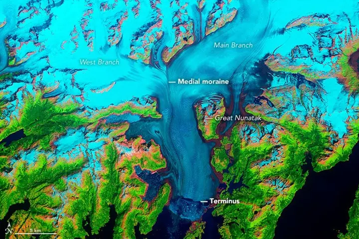 False-colour satellite image of Columbia Glacier filling a long valley down to the sea, shown in light blue.